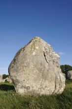 Megalithe, Alignements du Menec, Carnac, Department of Morbihan, Brittany, France
