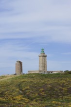 Lighthouse and landscape with flowering gorse (Ulex gallii) and heather, Cap Frehel, Cote
