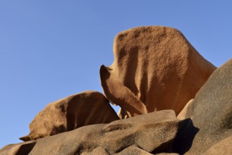 Granite rocks on the Cote de Granit Rose coast near Ploumanac'h, Cotes-d'Armor, Brittany, France