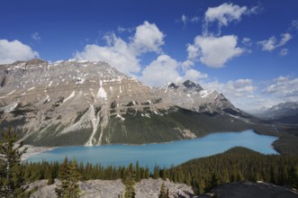 Glacier lake Peyto Lake, Icefields Parkway, Banff National Park, Alberta, Canada