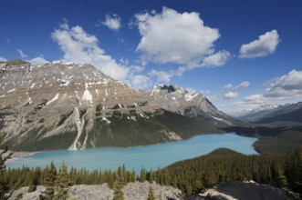 Glacier lake Peyto Lake, Icefields Parkway, Banff National Park, Alberta, Canada