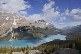 Glacier lake Peyto Lake, Icefields Parkway, Banff National Park, Alberta, Canada