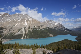 Glacier lake Peyto Lake, Icefields Parkway, Banff National Park, Alberta, Canada