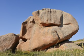 Granite rocks on the Cote de Granit Rose coast near Ploumanac'h, Cotes-d'Armor, Brittany, France