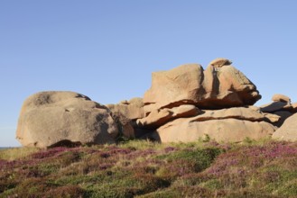 Granite rocks on the Cote de Granit Rose coast near Ploumanac'h, Cotes-d'Armor, Brittany, France