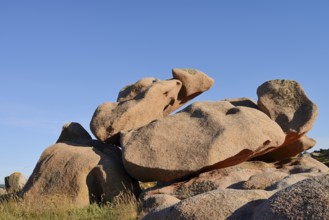 Granite rocks on the Cote de Granit Rose coast near Ploumanac'h, Cotes-d'Armor, Brittany, France