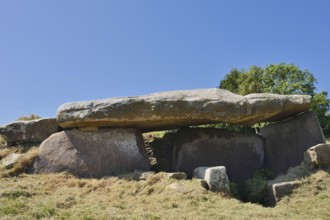 Dolmen of Kerguntuil, Tregastel, Cotes-d'Armor, Brittany, France