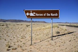 Sign desert horses, near Garub, Karas region, Namibia