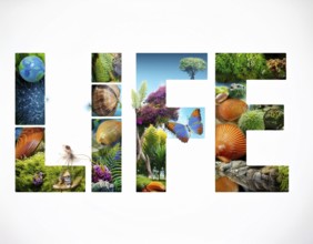 An artistic depiction of the word 'LIFE' filled with vivid imagery representing nature, wildlife,