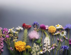 A variety of colorful wildflowers flourish on a hillside against a blurred mountainous backdrop.