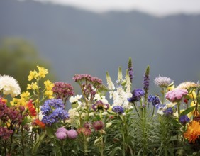 A variety of colorful wildflowers flourish on a hillside against a blurred mountainous backdrop.