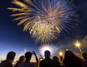 Thrilling fireworks illuminate the dark sky as a crowd gathers to enjoy the dazzling display,