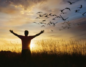 A silhouetted figure standing in a vibrant field, arms wide open, admiring the beauty of the