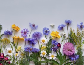 Beautiful arrangement of multiple vibrant wildflowers laid on a clean surface, perfect for seasonal