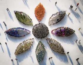 A vibrant aerial perspective of people assembling into petal-like shapes in various colors,
