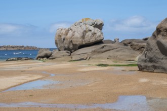 Spectacular pink granite rocks, sculpted by wind and sea, pile up on the beach of the Cote de