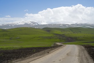 A dirt road winds through green hills in front of a snow-covered mountain range under a cloudy sky,