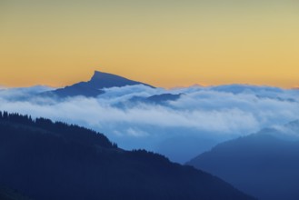 View from the Furkajoch to the Hoher Ifen, mountain peak above the sea of fog, dawn, dawn, autumn,