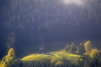 Alpine hut in the fog, trees in autumn colours, smoke from the Schonrstein, autumn, Laterns,