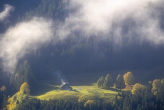 Alpine hut in the fog, trees in autumn colours, smoke from the Schonrstein, autumn, Laterns,