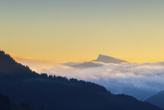 View from the Furkajoch to the Hoher Ifen, mountain peak above the sea of fog, dawn, dawn, autumn,