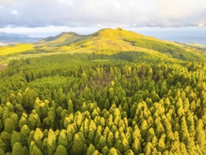 Hills, Forest and Mountains at Sunset. Azores, Sao Miguel Island, Portugal. Aerial View