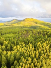 Hills, Forest and Mountains at Sunset. Azores, Sao Miguel Island, Portugal. Aerial View