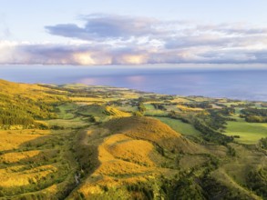 Green Lush Hills, Pasturelands and Trees at Sunset. Atlantic Ocean. Azores, Sao Miguel Island,