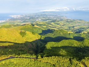 Green Hills, Pasturelands and Forest on Sunny Morning. Atlantic Ocean. Azores, Sao Miguel Island,