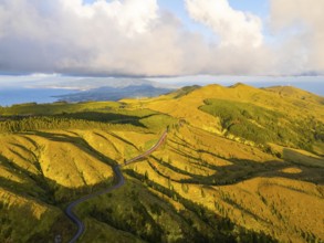 Green Forest Hills at Sunset with Pastureland. Atlantic Ocean. Azores, Sao Miguel Island, Portugal.