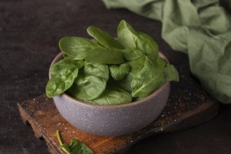 Spinach leaves in a clay cup dark photo