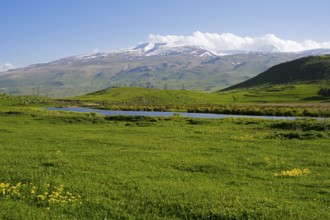 Idyllic landscape with snow-covered mountains and green grass under a blue sky, landscape near Rya