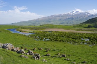 Green meadows with a meandering stream and a mountain range in the background under a clear sky,