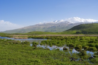 A river meanders through green hills in front of a mountain range with a slightly cloudy sky,