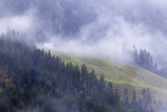 Almhaus, Alm, fog, forest, autumn, Furkajoch, Vorarlberg, Austria