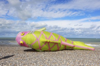 Kite festival on the beach, international kite festival, kite in the shape of a fish lies on the