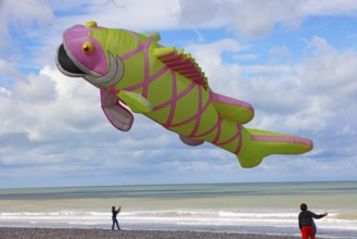 Kite festival on the beach, international kite festival, kite in the shape of a fish, Dieppe,
