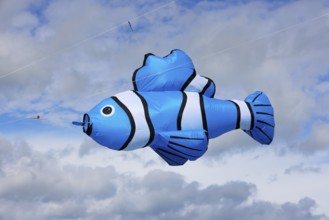 Kite festival, international kite festival, kite in the shape of a fish, Dieppe, Normandy, France
