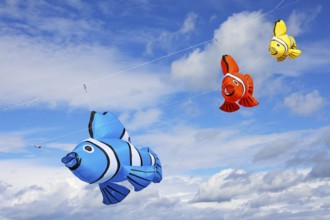 Kite festival, international kite festival, kites in the shape of fish, Dieppe, Normandy, France