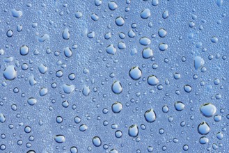 Drops of water on a blue surface, North Rhine-Westphalia, Germany