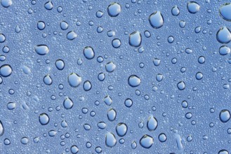 Drops of water on a blue surface, North Rhine-Westphalia, Germany