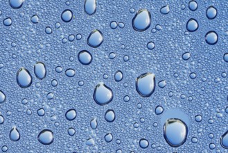 Drops of water on a blue surface, North Rhine-Westphalia, Germany