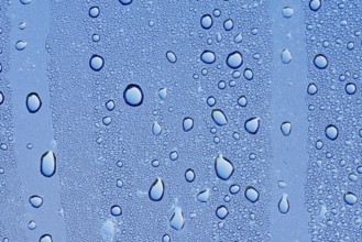 Drops of water on a blue surface, North Rhine-Westphalia, Germany