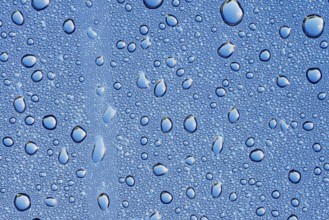 Drops of water on a blue surface, North Rhine-Westphalia, Germany