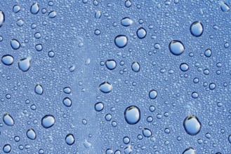Drops of water on a blue surface, North Rhine-Westphalia, Germany