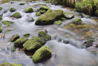Mossy stones in a mountain stream, Bavarian Forest National Park, Bavaria, Germany