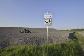 Man-made habitat for the natterjack toad (Bufo calamita, Epidalea calamita) on the Großes Holz slag