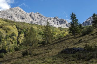 Großer Wilder, Oytal, near Oberstdorf, Oberallgäu, Allgäu, Bavaria, Germany