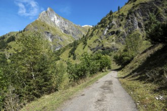 Driveway, hiking trail to Käser Alpe, behind Himmelhorn, Oytal, near Oberstdorf, Oberallgäu,