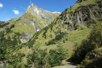 Driveway, hiking trail to Käser Alpe, behind Himmelhorn, Oytal, near Oberstdorf, Oberallgäu,